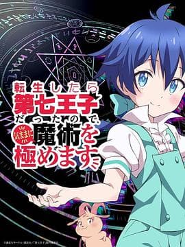转生七王子的魔法全解封面