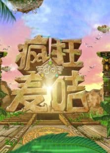 疯狂的麦咭第1季