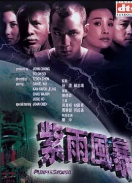 紫雨风暴封面