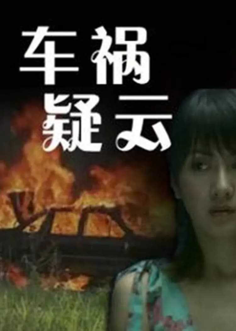 车祸疑云封面