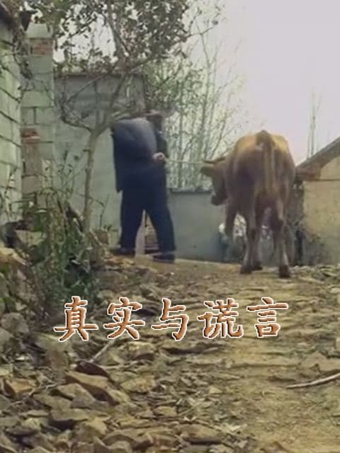 天才的悲歌封面