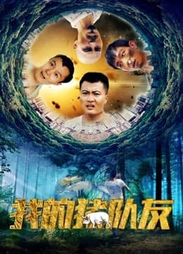我的猪队友封面