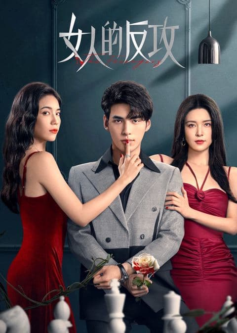 德云社七队乙巳年封箱 2025封面