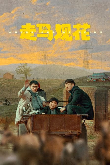 走马观花