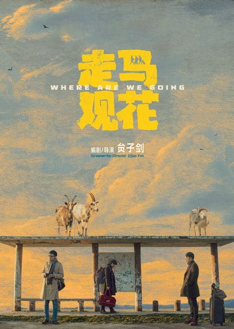 走马观花