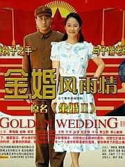 金婚风雨情封面