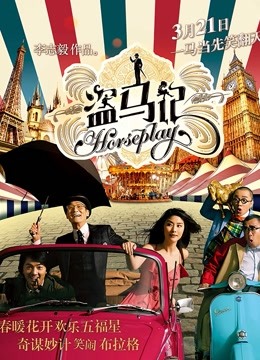 盗马记封面