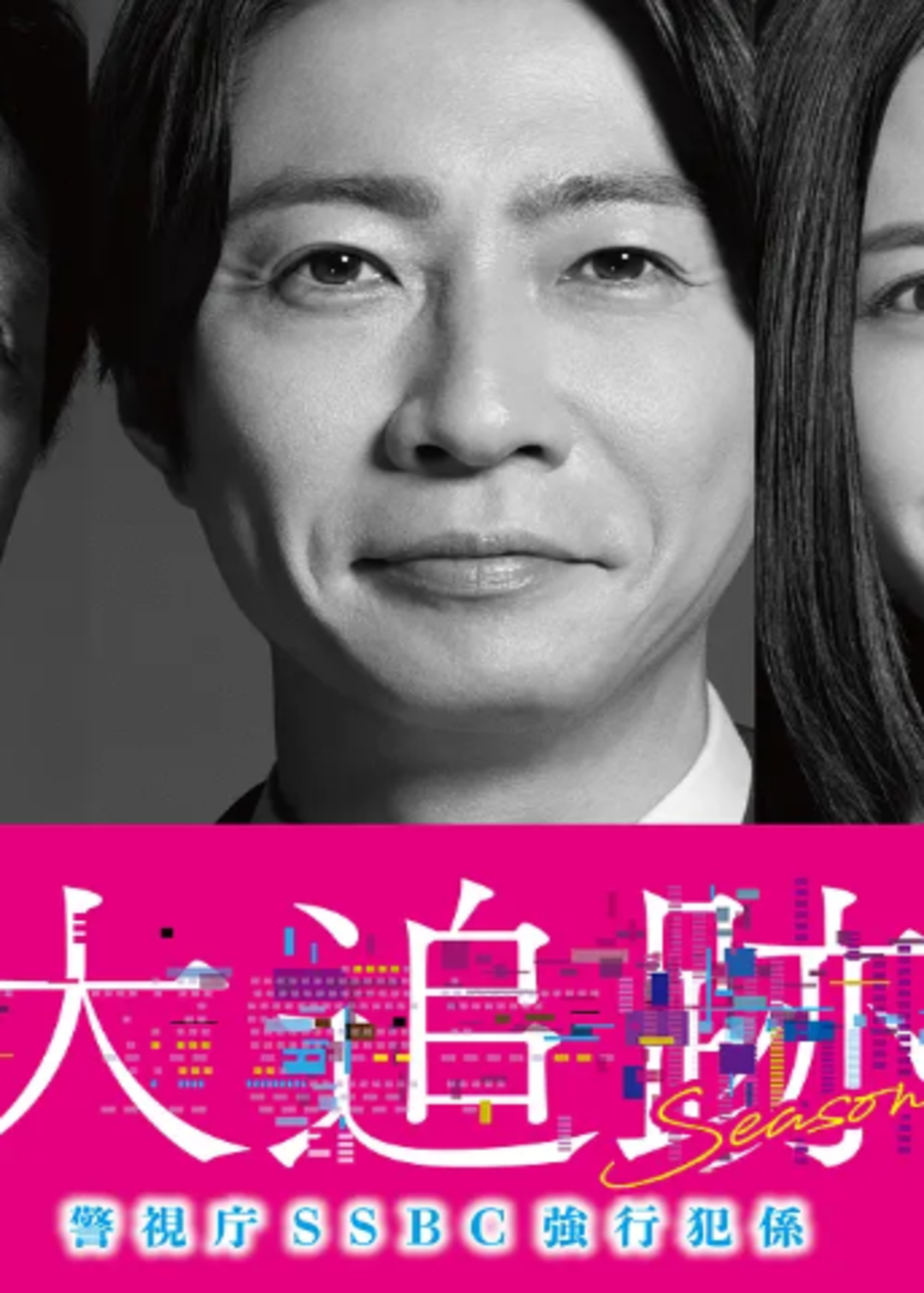 大追踪〜警视厅SSBC强行犯系〜第二季