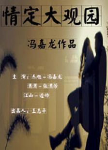 情定大观园封面